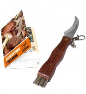 Набор «Грибной практикум»