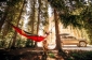 Гамак ENO SingleNest Hammock Khaki/Olive - SH009 - фото 3