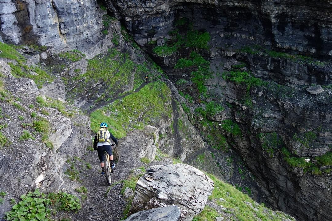 Рюкзак Deuter Attack Enduro 16 - 3200016 - фото 14