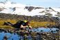 Фільтр для води LifeStraw Personal - 8421210001 - фото 11