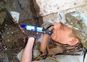 Фільтр для води LifeStraw Personal - 8421210001 - фото 13