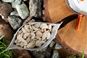 Паста з копченою куркою і грибами в соусі бешамель Харчі - 4820225900345 - фото 3