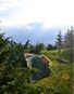 Палатка Totem Tepee 4 v2 - UTTT-027 - фото 15