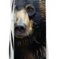 Складной нож Victorinox FIELDMASTER ANIMAL Черный медведь 1.4713.3.F1100pw - 1.4713.3.F1100pw - фото 5