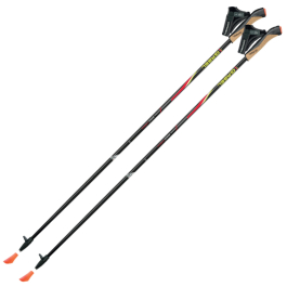 Палиці для скандинавської ходьби Gabel FX-75 Snake Carbon 110 Dual Spike (7008351011100) Палиці для скандинавської ходьби Gabel FX-75 Snake Carbon 110 Dual Spike (7008351011100)